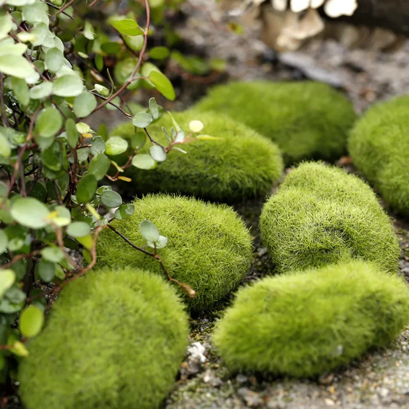 4 Size Artificial Foam Green Moss Plants Micro Landscape Grass Stone Figure Miniature Simulation Fairy Garden Decoration Accesso