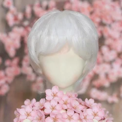 1/3 1/4 1/6 Bjd DD SD Wig Cool fashion short hair Hair Wig High Temperature Wire Black white Golden BJD Wig For BJD Doll Wig