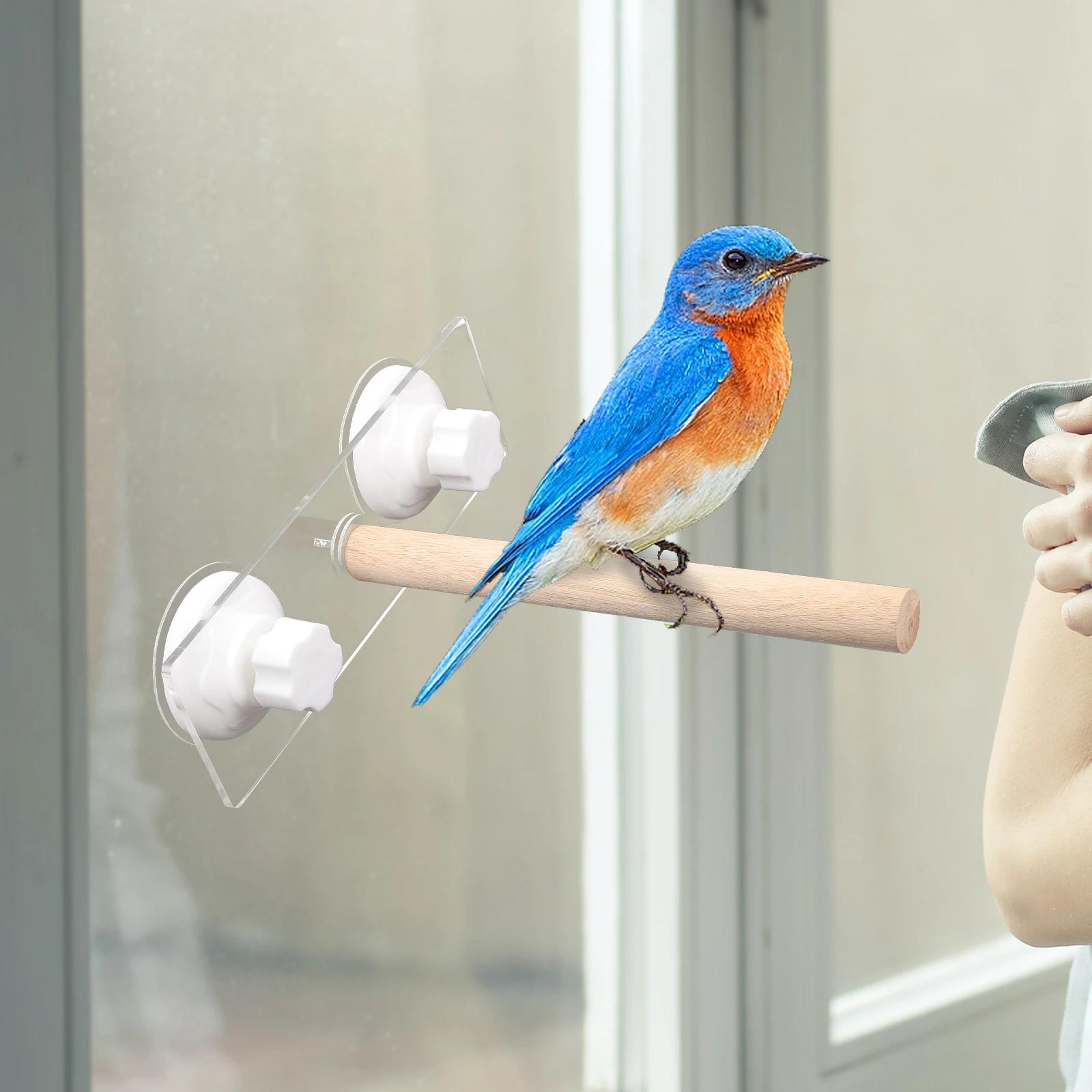 

Decorative Bird Perch Stick Stand for Parrot Cage Round Wooden Toy Plaything Wear Resistant Durable Household Supplies