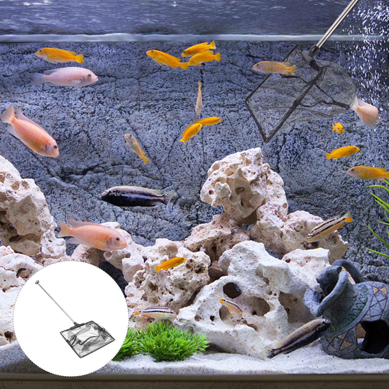 

Stainless Steel Fish Net Foldable Aquarium Mesh Net for Tank Cleaning Long Handle Extendable 2ft Safe Small Fish Pet Supplies