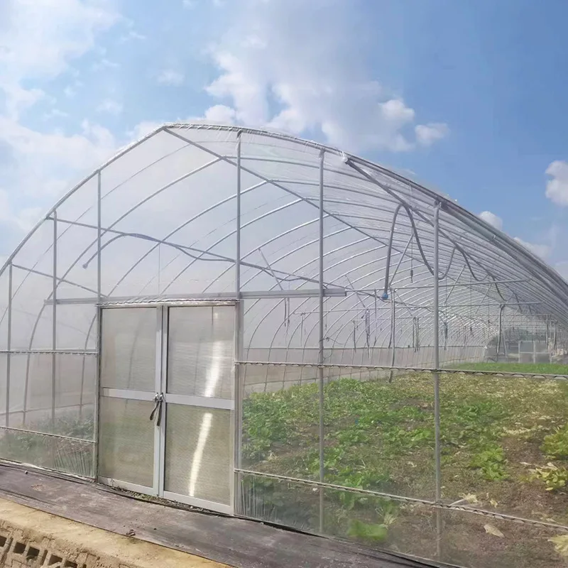 2025 أنبوب مجلفن ذو إطار واحد من فيلم الفراولة المقوسة والخضروات البلاستيكية