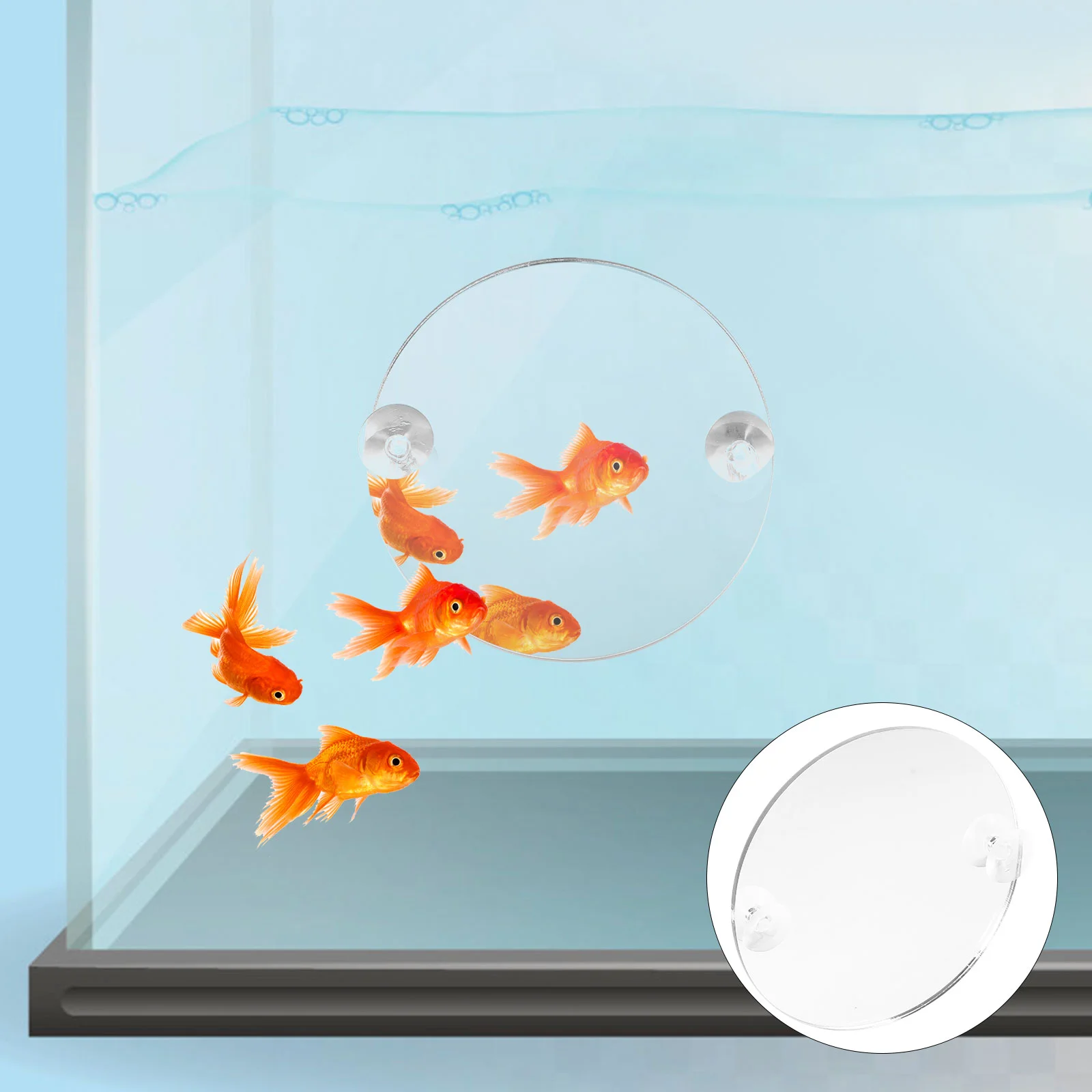 

Training Mirror Betta Toy Decorative Mirrors Plant Accessories Tank Supplies Suction Cup Bettal Fish Landscaping