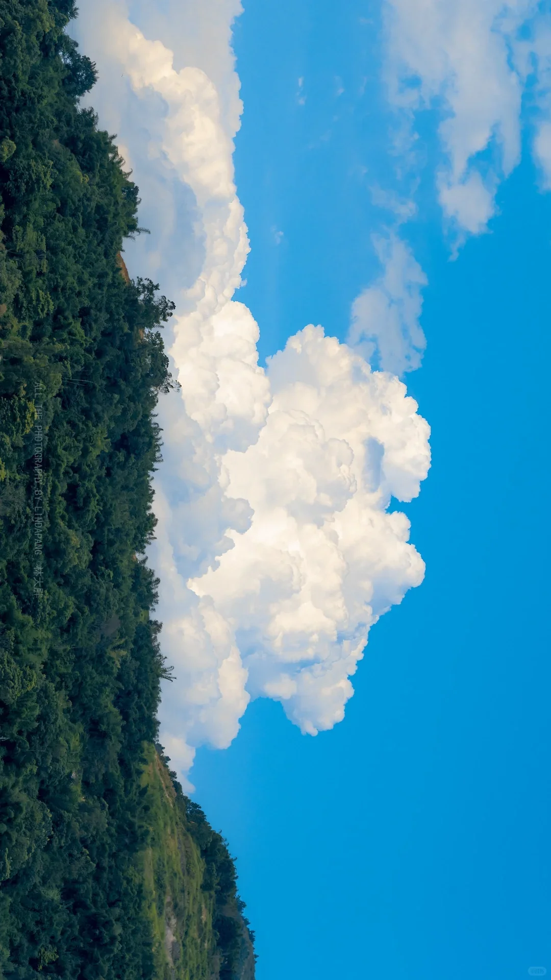 

Android 13.0 8G + 256 ГБ Tesla Style Автомобильный радиоприемник для Porsche Cayenne 2012-2018 Автомобильный GPS Navi Авто Стерео Рекордер Головное устройство DSP Carplay