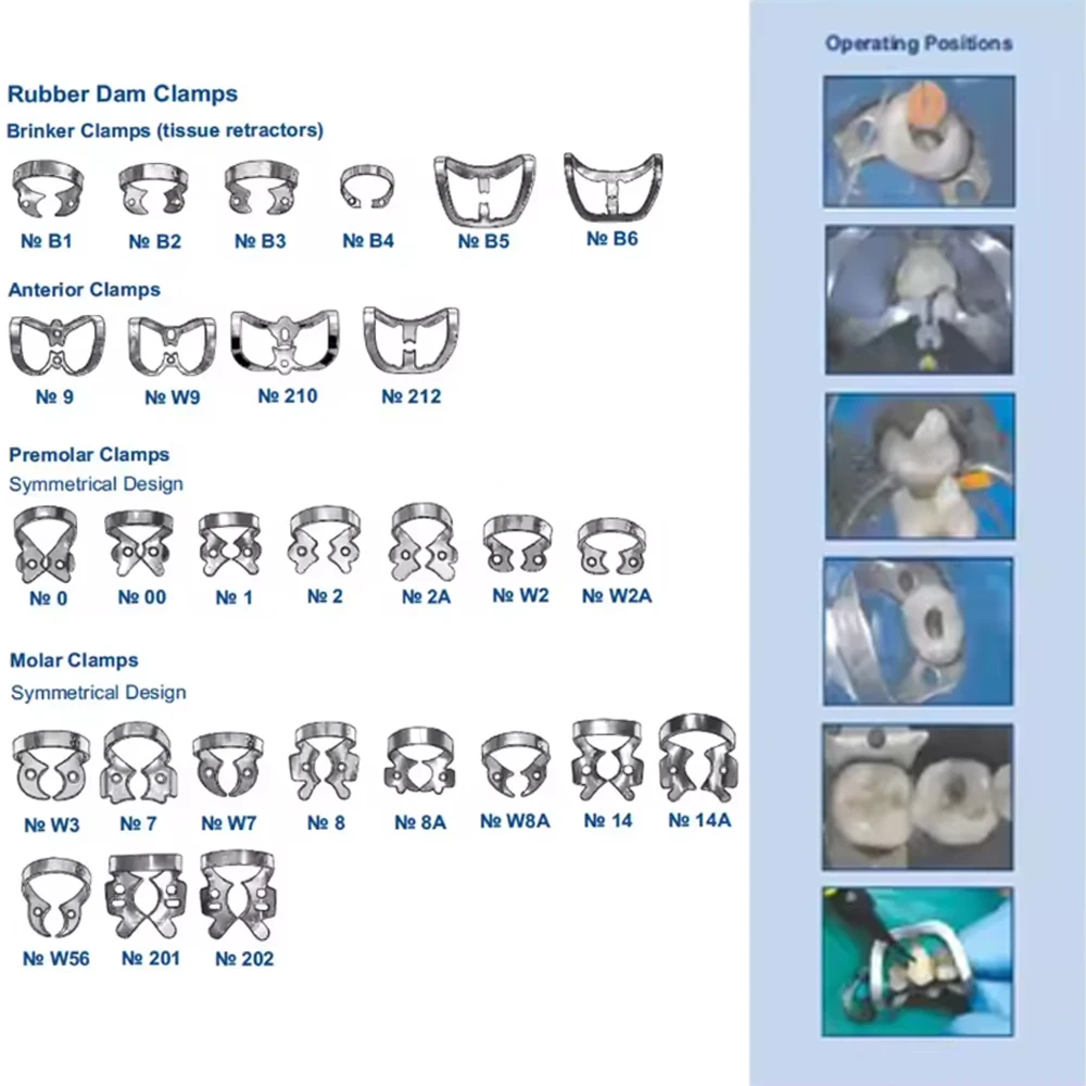 

Набор стоматологических резиновых зажимов для плотины, инструменты из нержавеющей стали разных размеров для эндодонтического реставративного ортодонтического использования, комплект