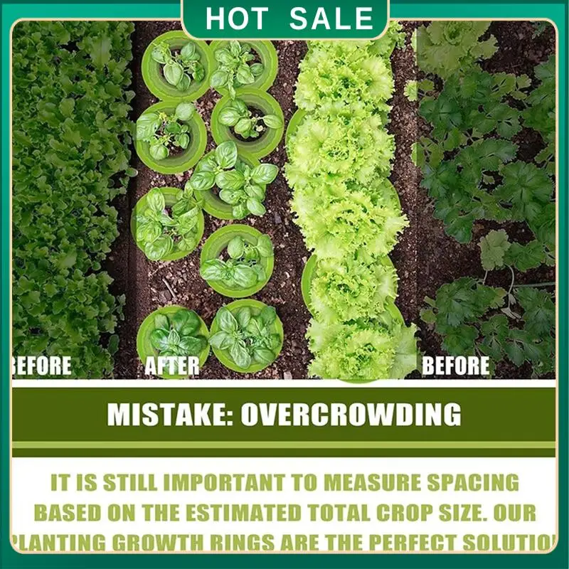 

My Home 20Pcs Plant Protection Rings Snail Collars Stop, Eco-Friendly Garden Solution Snail Collars Stop For Healthy Plants