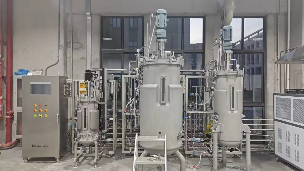 500L industrial fermentor production line bioreactor sale for fertilizer production BLBIO-SJA