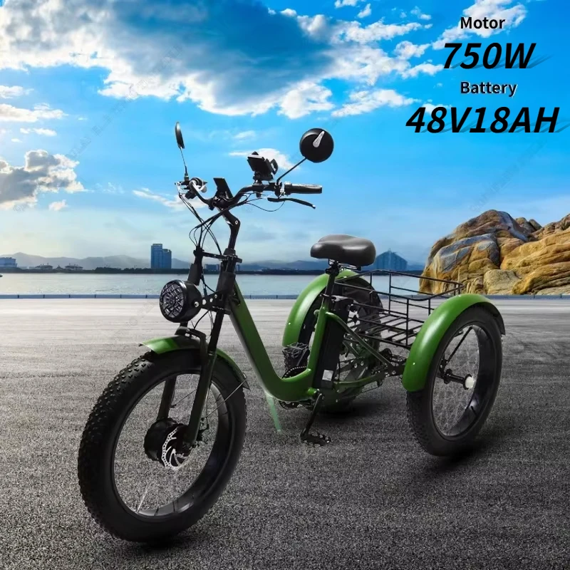 Electric tricycle 750W 48V 18AH lithium battery 20*4.0 fat tire mountain  electro tricycle adult cargo snow Electric bicycle