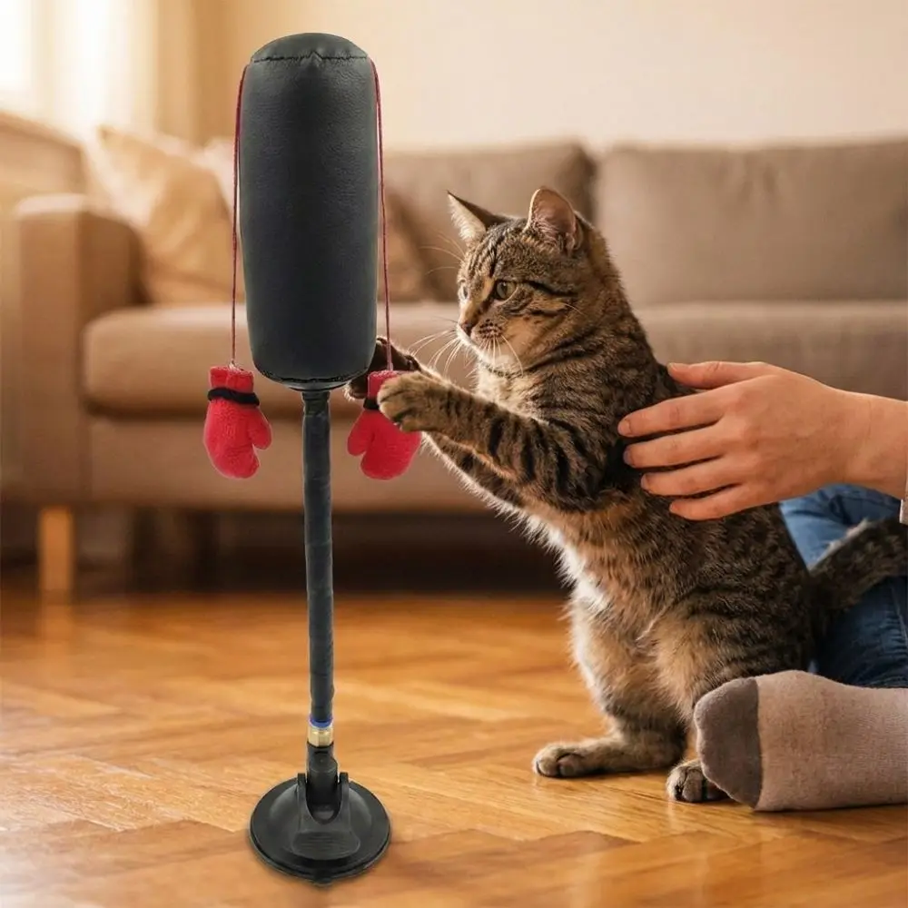 Suction Cup Cat Boxing Scratch Trainer Self-standing Interactive Cat Bite Resistant Scratch Resistant Cat Boxing Game