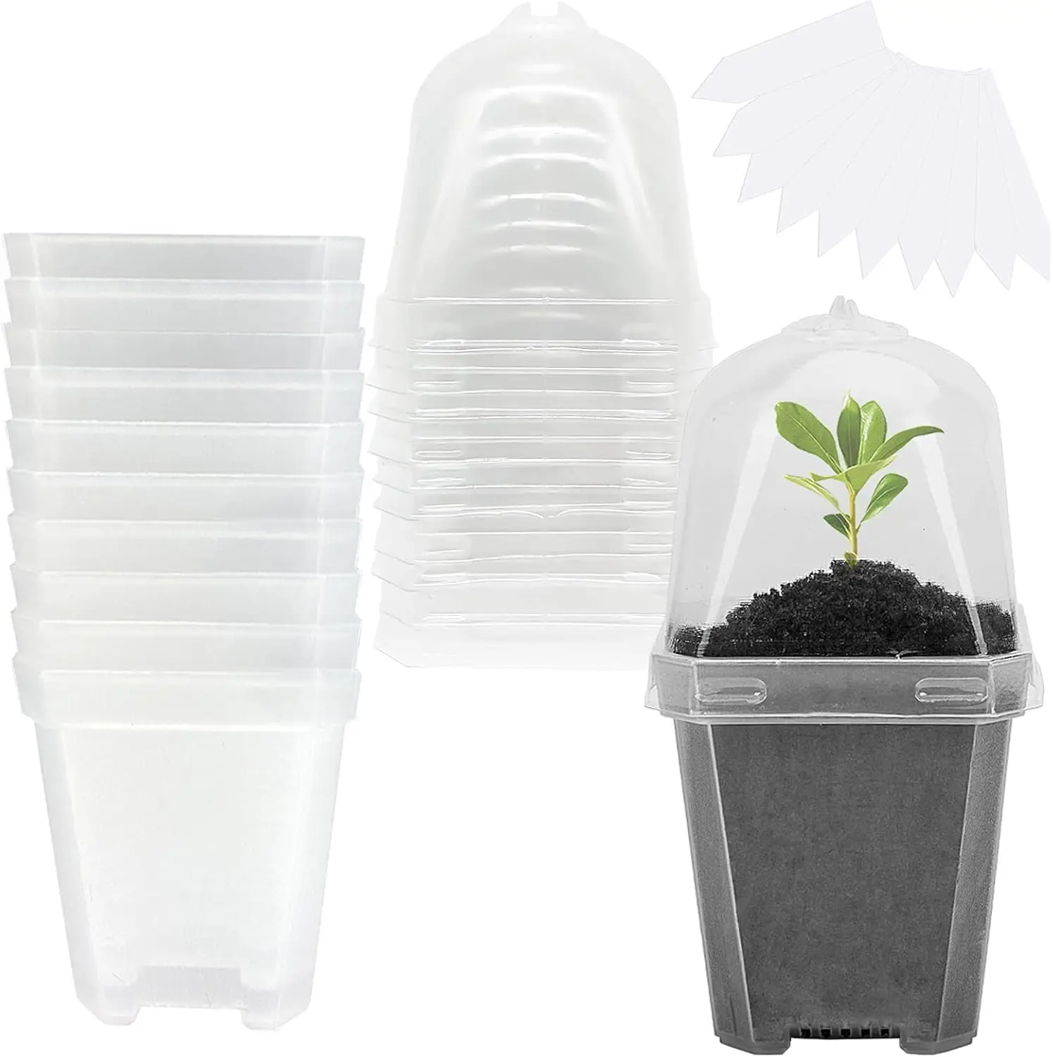 10 PCS Clear Plant Nursery Pots with Humidity Dome - 3