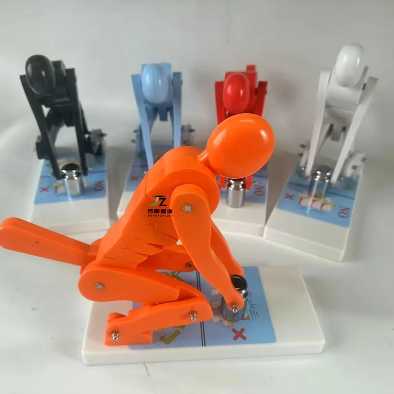 

A color demonstration model showing the forces exerted on the spine and lumbar vertebrae when a person performs weightlifting