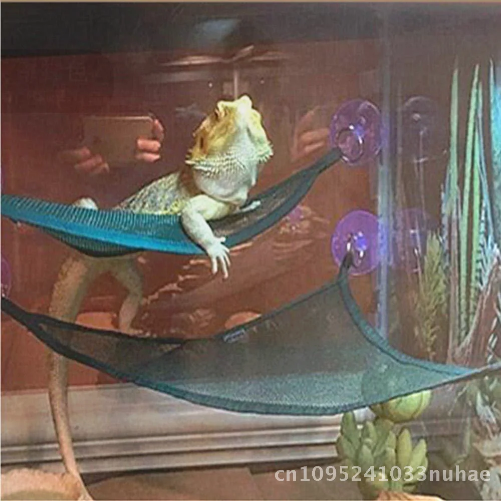 

Double Color Lizard Hammock Reptile Snake Small Pet Climbing Net Toy Mesh Surface Black Green Pet Supplies