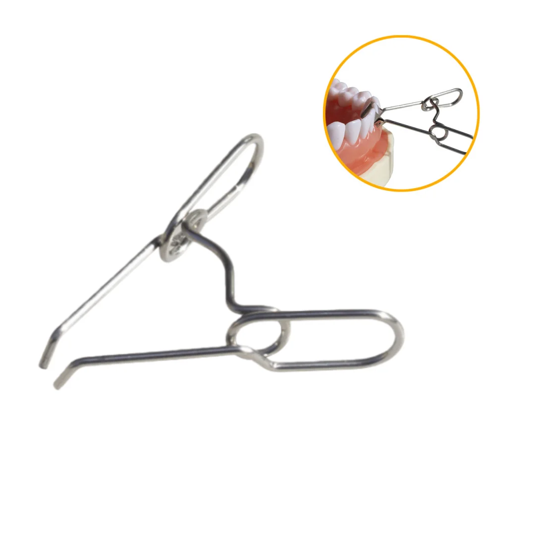 

2pc Dental Stainless Steel Matrix Retainer Reusable Tool for Tooth Restoration Procedures Durable Instrument for Dental Clinic