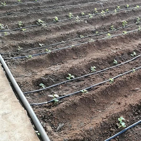 20251 Hectare طقم الري بالتنقيط الزراعي 16 مللي متر خرطوم مسطح لري الأراضي الزراعية شريط تنقيط