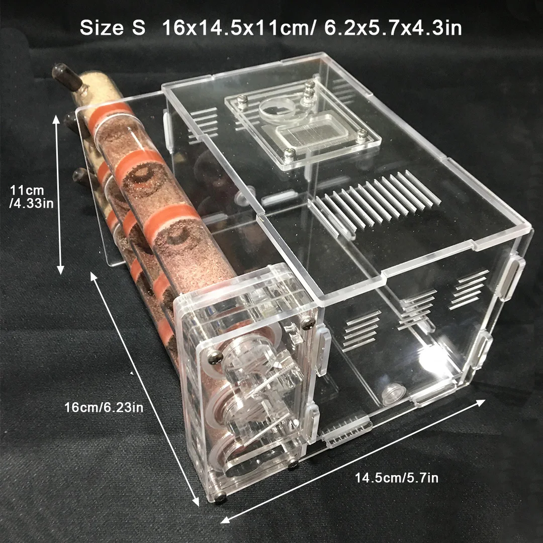 DIY Acrylic Bamboo Tube Ant Farm Ecological Ant Nest 3 Tubes Workshop with Feeding Area Ant House for Pet Anthill 18*18*14cm