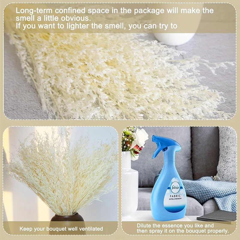 70g Natural Preserved Limonium - Wedding Ceremony Supply review and price