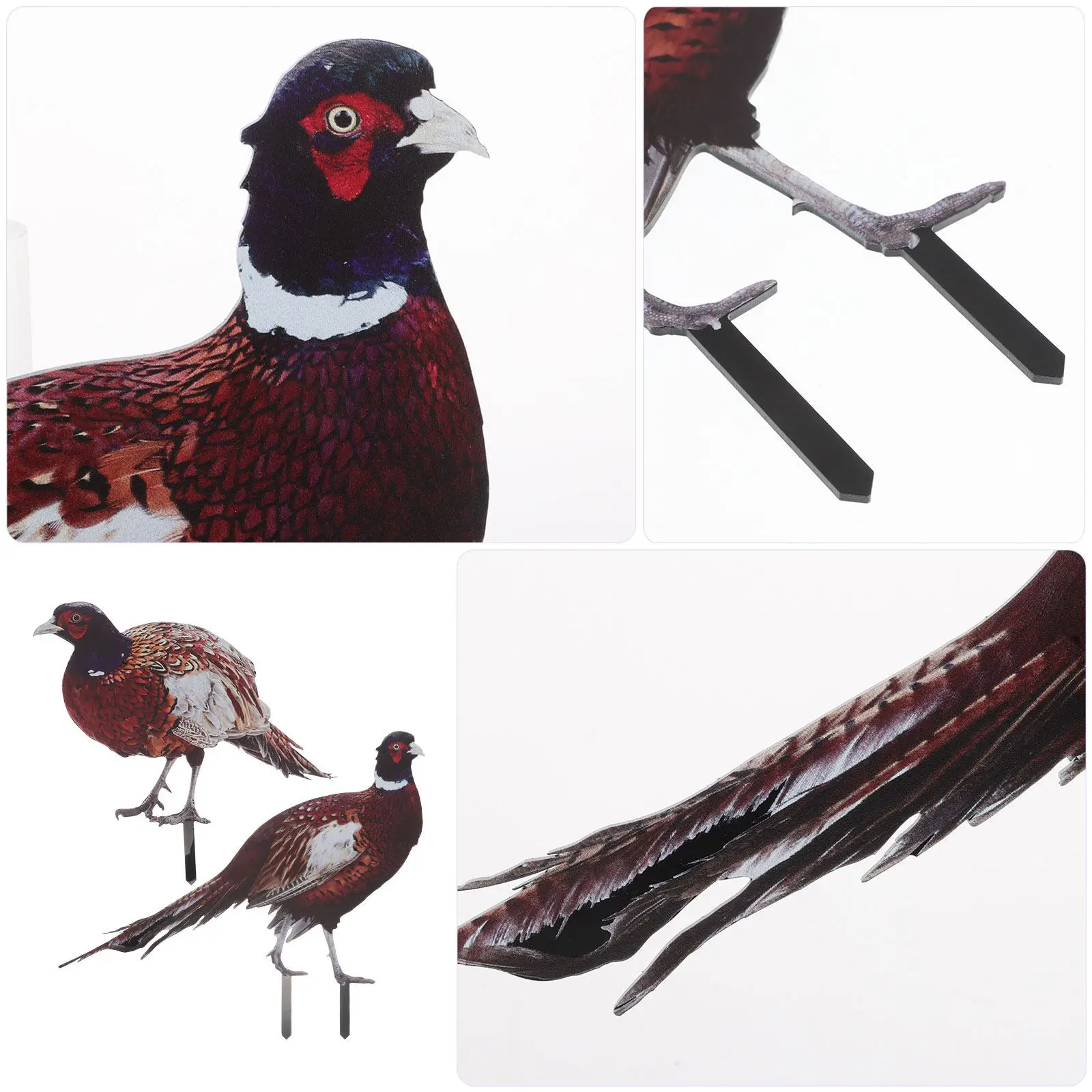 2Pcs Pheasant Garden Stake Realistic Lifelike Outdoor Lawn Decoration Yard Ornament Acrylic Chicken Garden Decorative Plug view 5