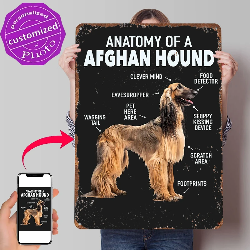 Afghan Hound Anatomy Printed Poster Customized Wall Art Retro Vintage Metal Tin Signs for Room Decoration Gaming Bar Accessories
