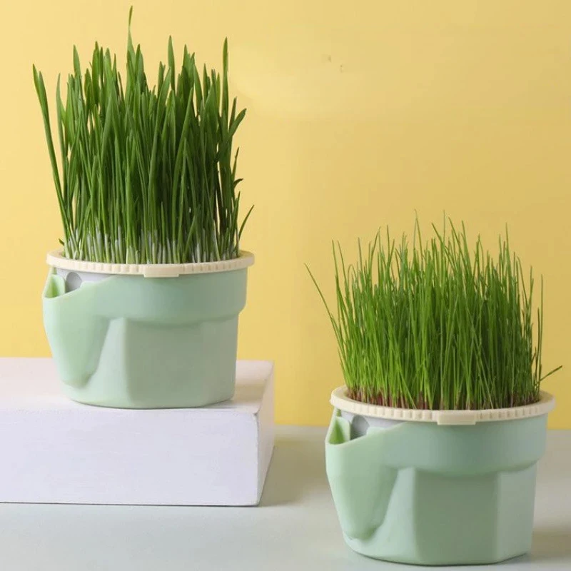 

New 1pcs Pet Cat Sprout Dish Growing Pot Hydroponic Plant Cat Grass Germination Digestion Starter Dish Greenhouse Grow Box