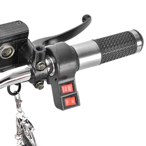 Erwachsene Reifen Erwachsene Trikes, Fahrzeug drei läuft die 12 Hauptverkaufsmotorcycle Electric Electric Adult - №10