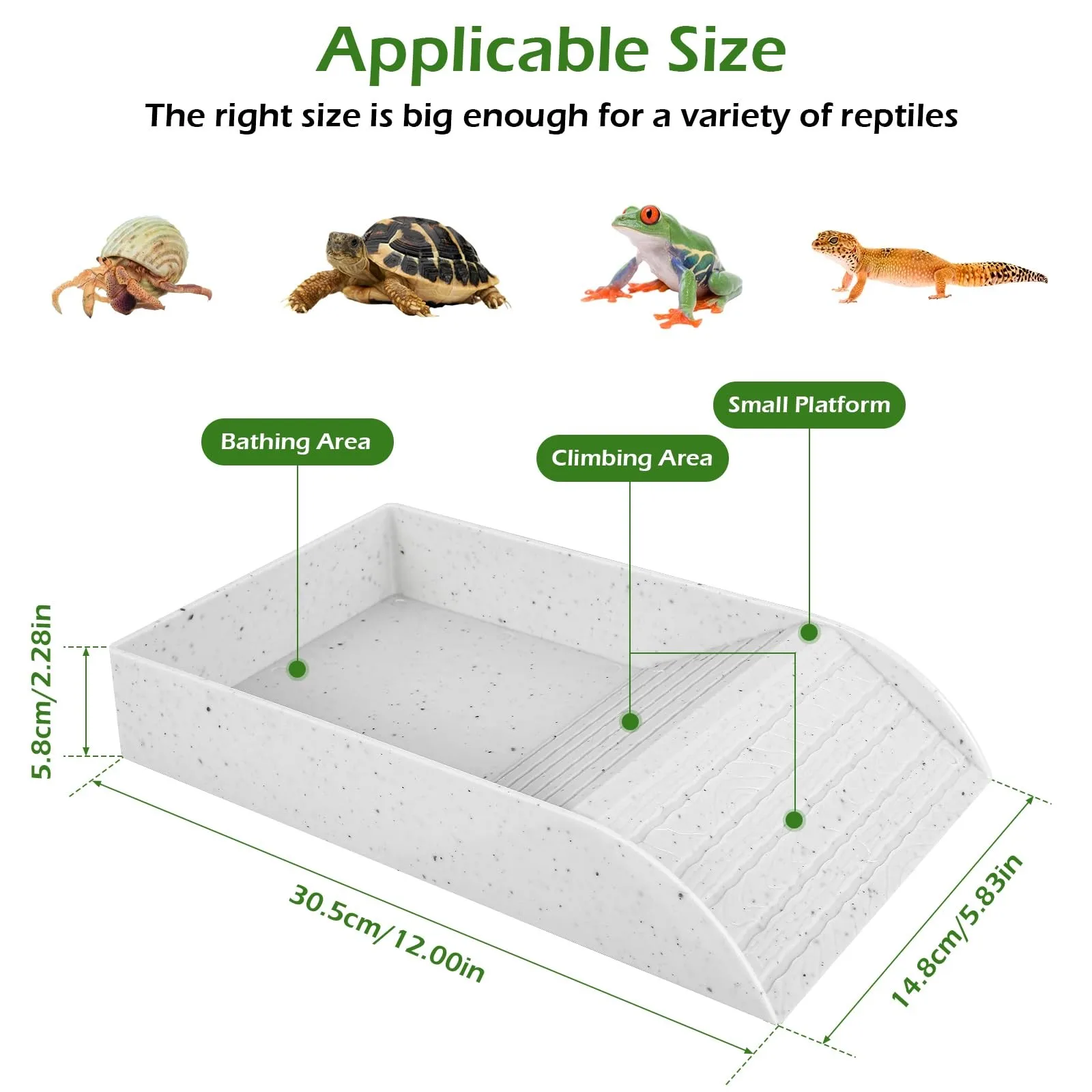 

Reptile Bathing Pool With Climbing Ramp Turtle Food Bowl and Water Basin Reptile Amphibians Accessories
