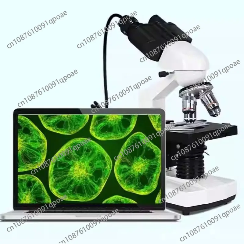 Binocular Biological Microscope (Hinge Type) Student Teaching and Scientific Research Professional Biological Microscope 2500x