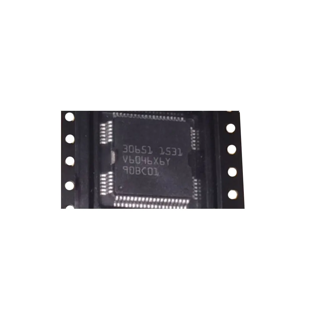 30651 Kfz-Computer-Chip-IC für Kraftstoffeinspritzung