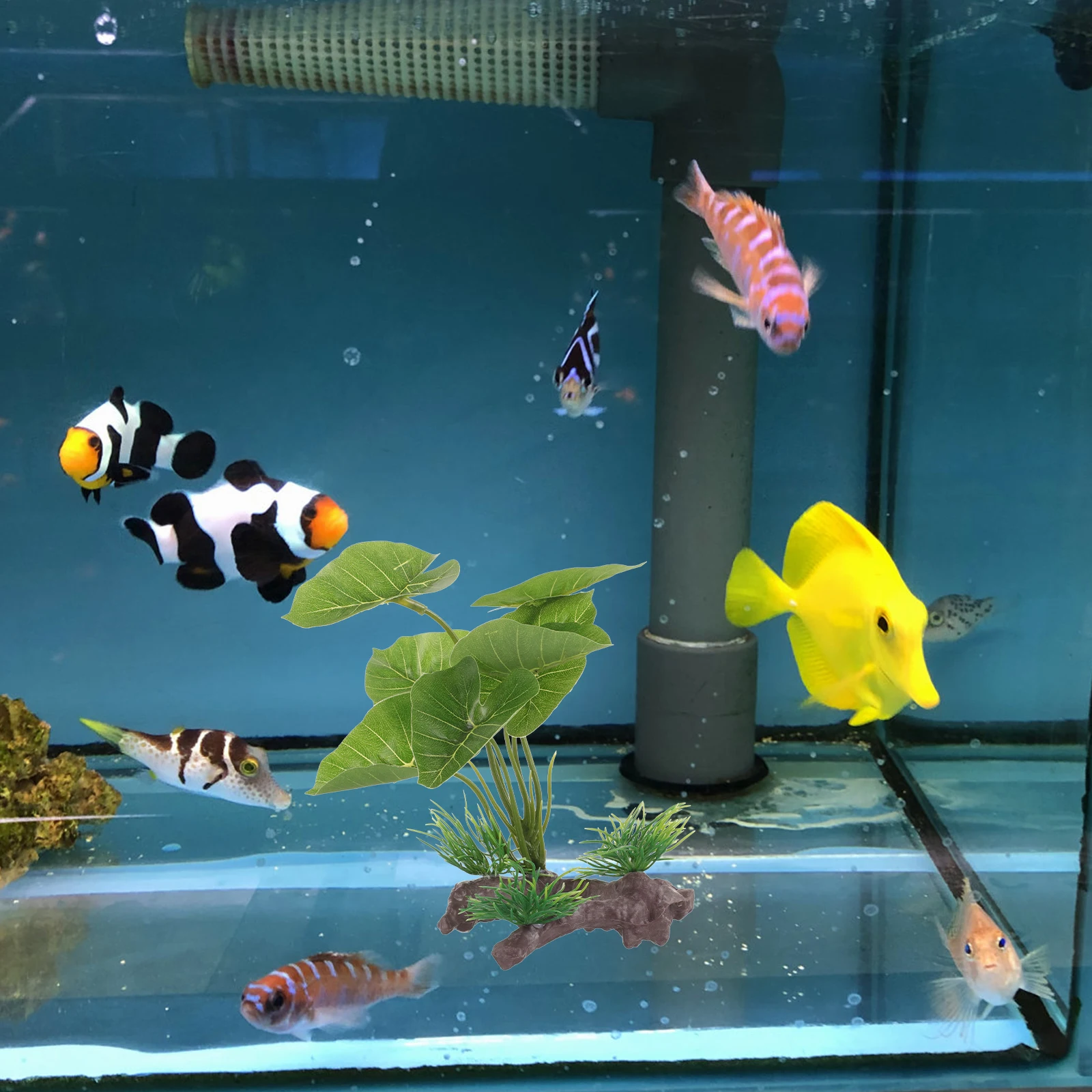 

Artificial Water Plants Betta Fish Tank Decoration Plastic Aquarium Grass Safe Underwater DecorWater Plants Small Freshwater