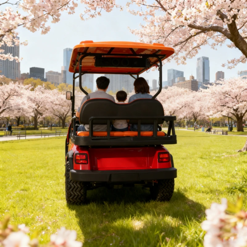 2024 أفضل بالجملة عربة جولف كهربائية بطارية ليثيوم 48 فولت 72 فولت عربة جولف نمط مخصص 2 4 6 مقاعد عربة جولف كهربائية #6