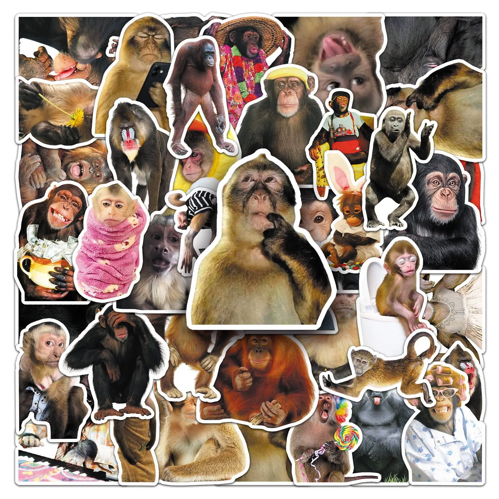 

50PCS Cartoon aAnimal Monkey Graffiti Sticker DIY Decoration Mobile Phone Case Notebook Water Cup Toy Gift Sticker