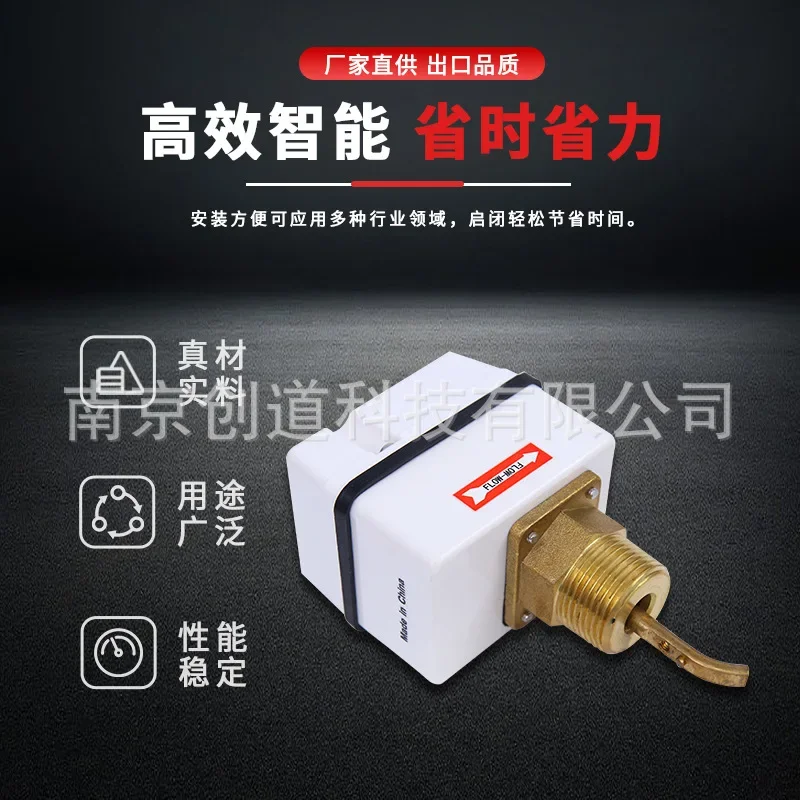 Johnson Original Water Flow Switch FS80-C Target Type Water Flow Switch Central Air Conditioning Flow Switch Sensor DN25