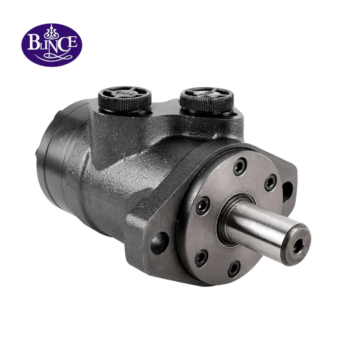 

High Quality BMP OMP160 OMP 250 Hydraulic Motor For Winch