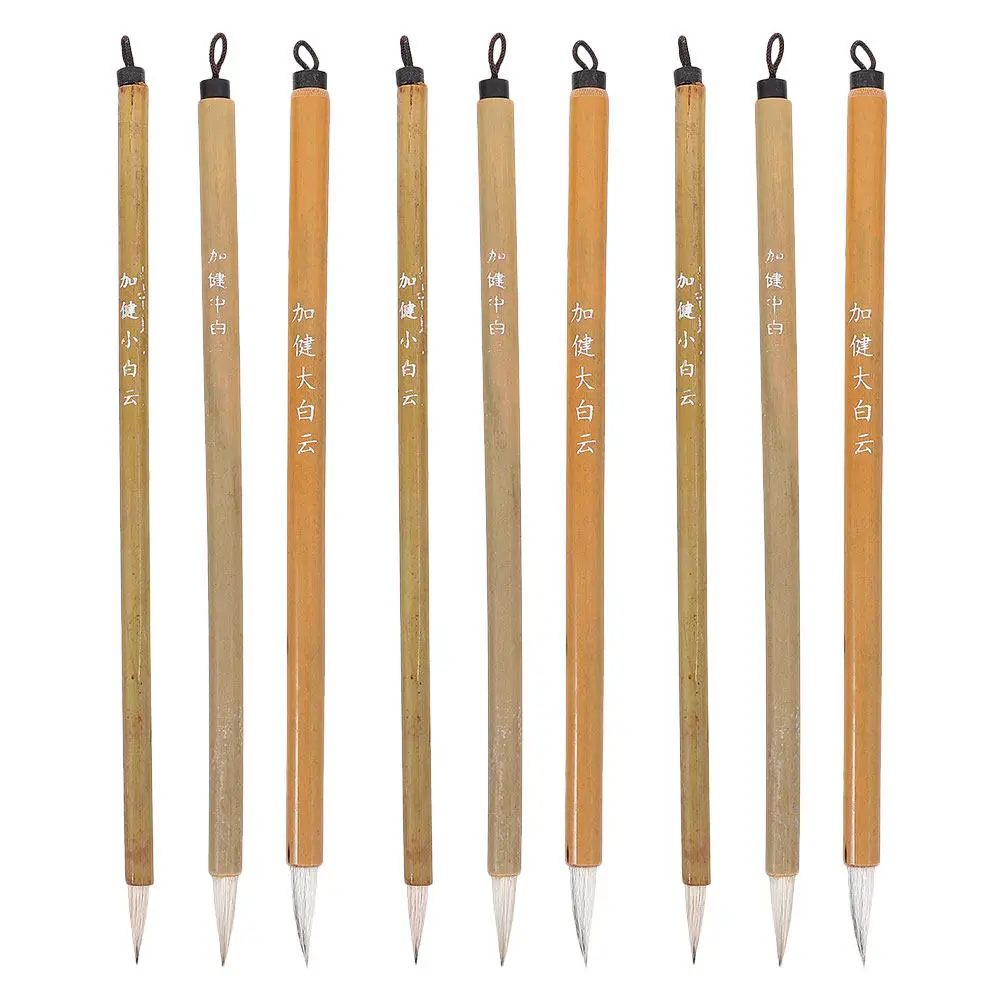 9 Pcs Chinese Calligraphy Brush Professional Painting Brushes for Watercolor Ink