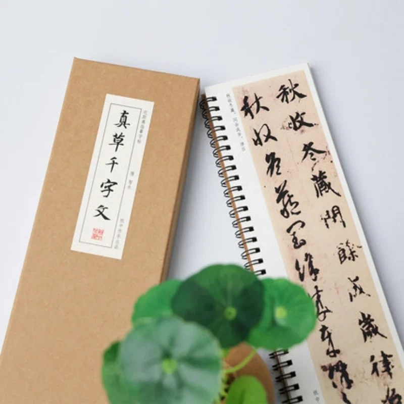 Inscription Copybook Chinese Famous the Thousand Characters Calligraphie Book Chinese Cursive Script Calligraphie Brush Copybook