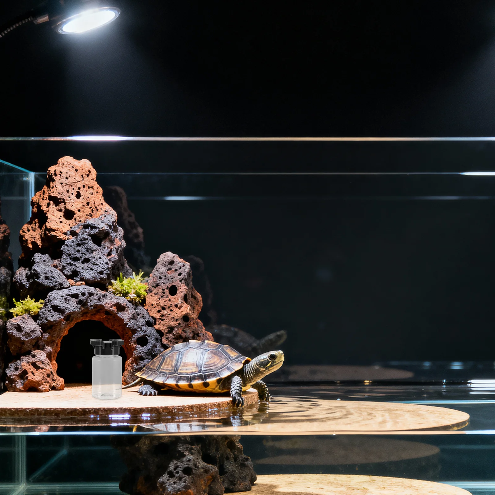 

3D Design Multi-Port Ant Spider Water Feeder For Crickets Reptiles Insects Continuous Flow Hydration Tray Small Animal Water