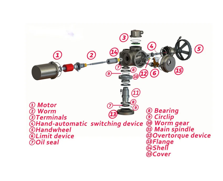 DZW15 - 24W / Z / T DZW20 - 18W / Z / T Multi Turn Electric Motorized Actuator, Custom, Construction