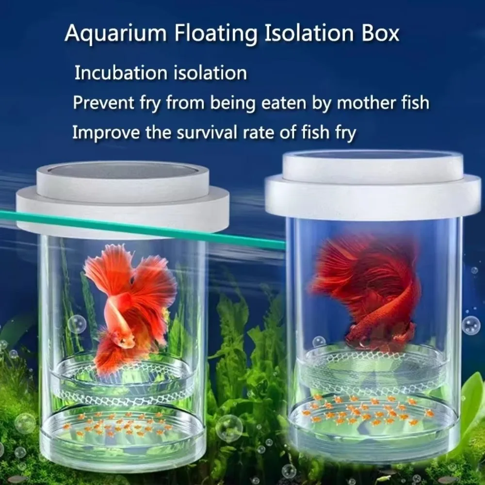Caixa de Isolamento Flutuante Transparente de Malha Plástica para Eclosão de Camarões e Guppies, Caixa de Criação de Peixes Destacável para Aquário