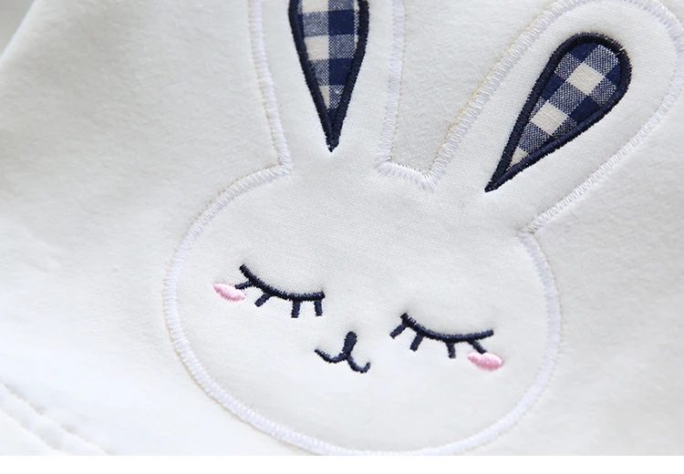 Girls Dress 2024 Spring Casual Style Baby Girl Clothes Long Sleeve Cartoon Embroiderie Bunny Princess Dress for Kids Clothes