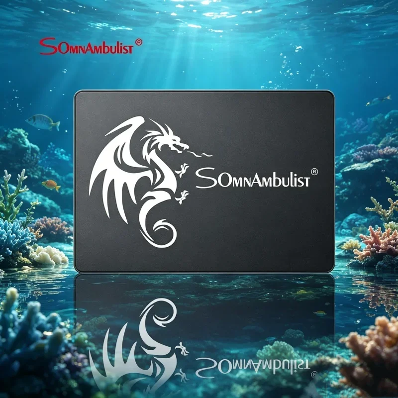 

Gallant SomnAmbulist 2.5 Inch SATA3 SSD 120GB 240GB 480GB 960GB 128GB 256GB 512GB 1TB Tough Internal Solid State Drive