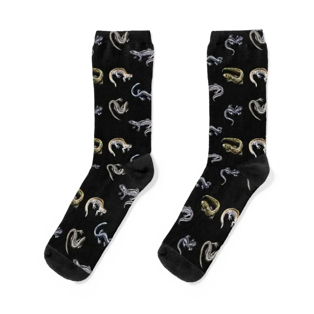 

Salamander collage Socks custom kids loose Socks Men Women's