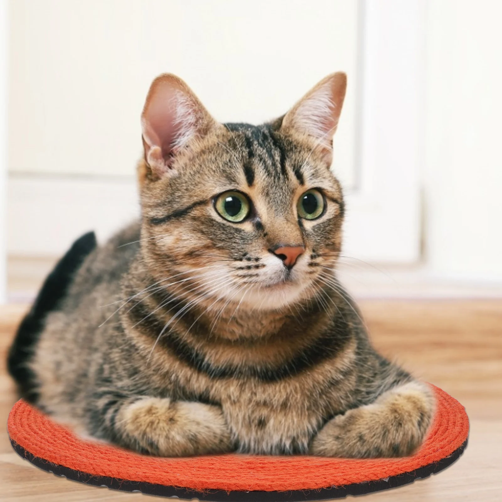 

Bright Orange Shaped Cat Scratching Mat Hemp Rope Play Rest Spot Floor Protector Pad Furniture