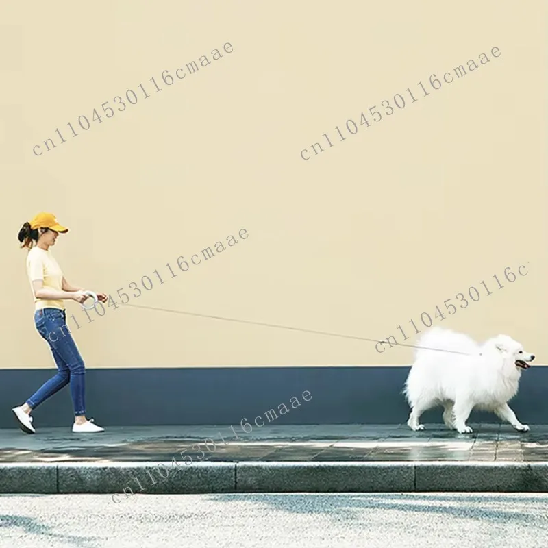 Laisse rétractable pour animaux de compagnie UFO offre spéciale