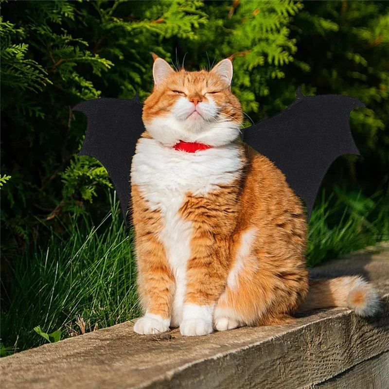 احتفالي هالوين الكلب زي أجنحة الخفافيش الزي هالوين للكلاب زي للنادي في الهواء الطلق فستان تأثيري الدعامة B #2