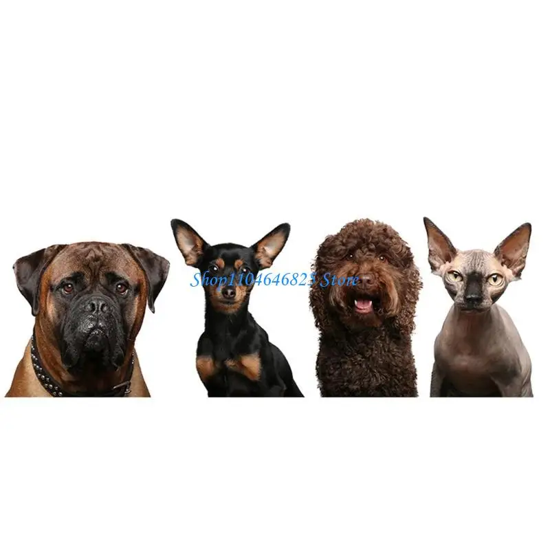 

Lovely Kitten Designs Door Decal For Kids Bedroom Sticker for Home Decoration