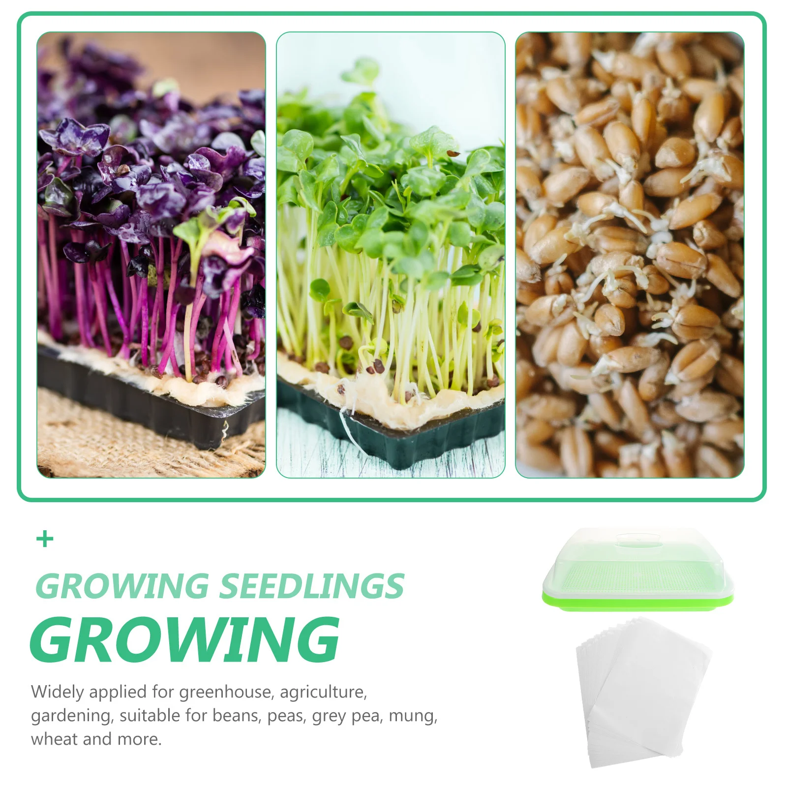 

1Set Seedlings Starter Germination Tray Plastic Nursery Growing Tray Lightweight Breathable Microgreens Growing Trays