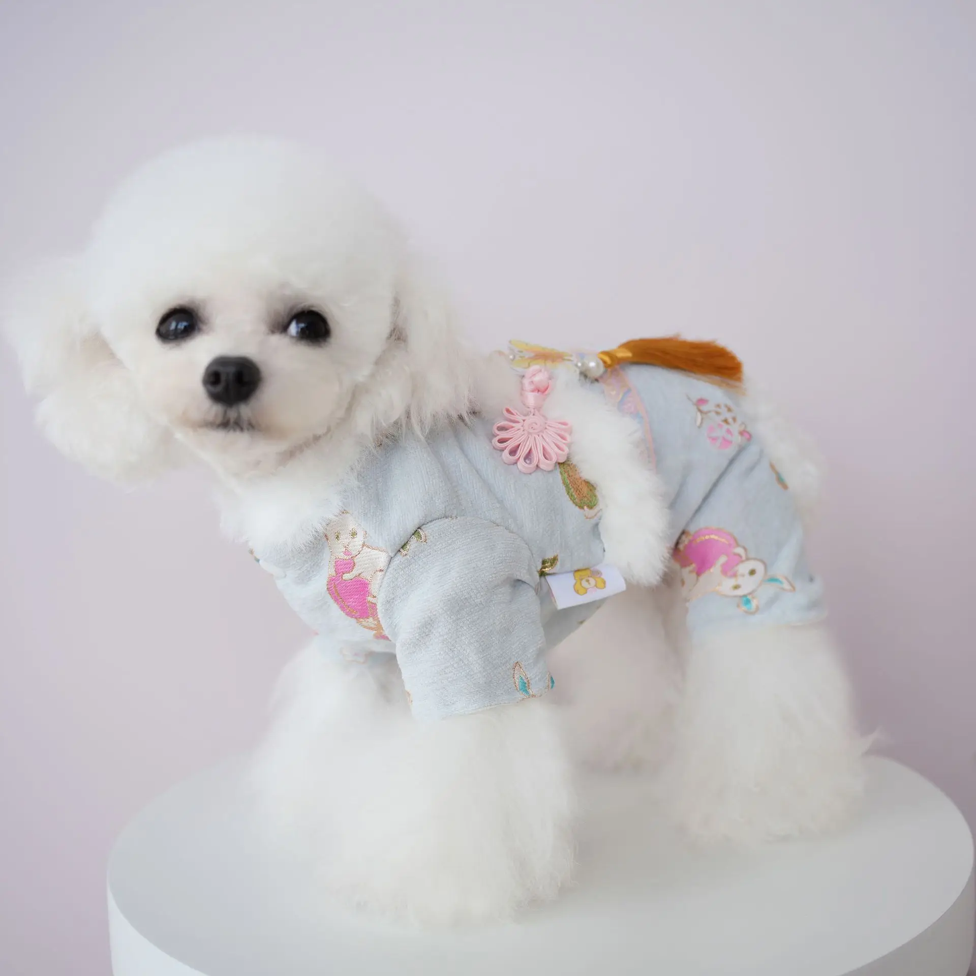 New Winter Clothing Bow Fringe One-piece Four-legged Cat Warm Coat Embroidery Rabbit Fashion Design Dog Clothes