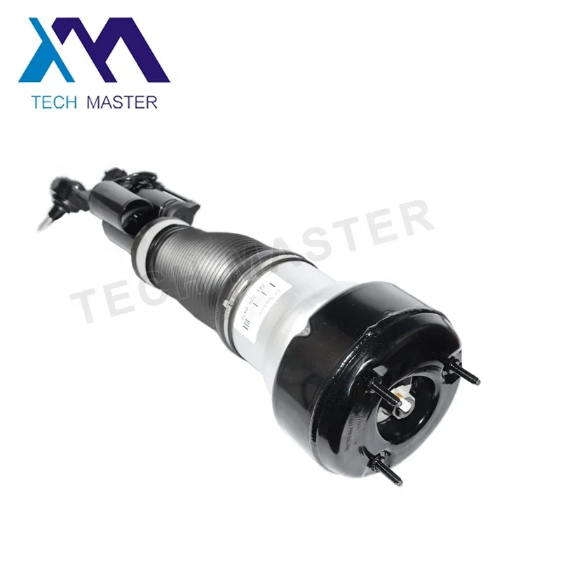 Рисунок 2 - Амортизатор Air Ride Suspension