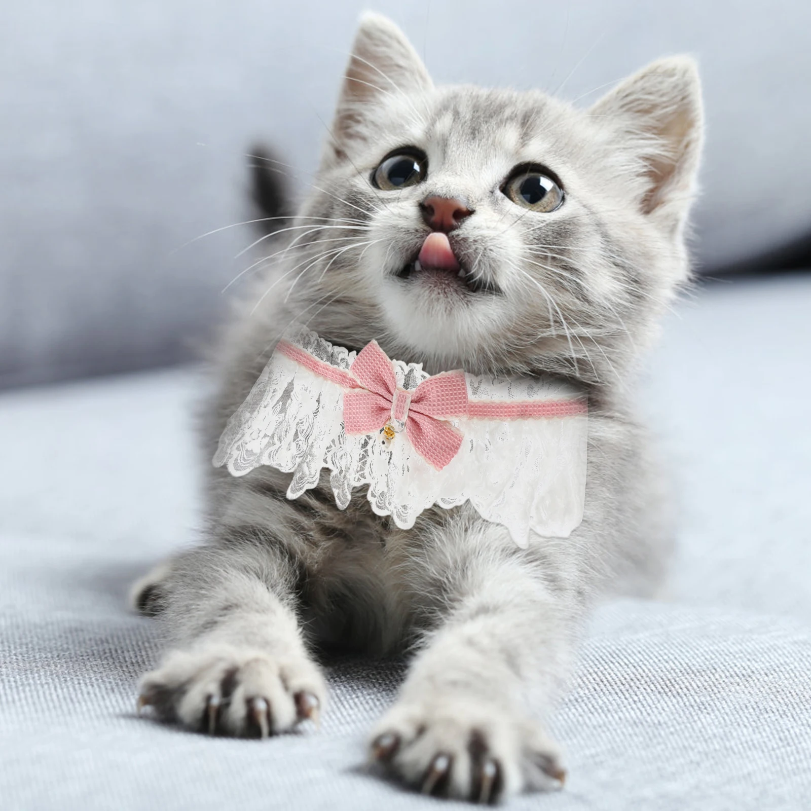 

Bow Collar Kitten Puppy Cats Supply Lovely resistant Delicate Adjustable Pet Collar Decorative Lace Design Comfortable Easy to