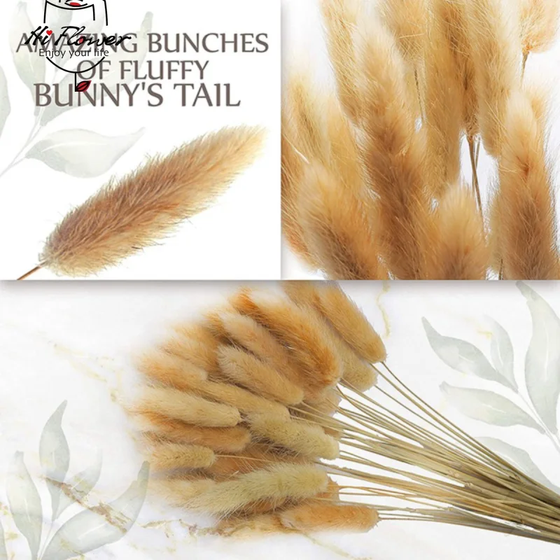 100PCS Natural Bunny Rabbit Tails Grass Dried Flowers Boho Home Decor Table Accessories Colorful Mix Lagurus Wedding Decoration