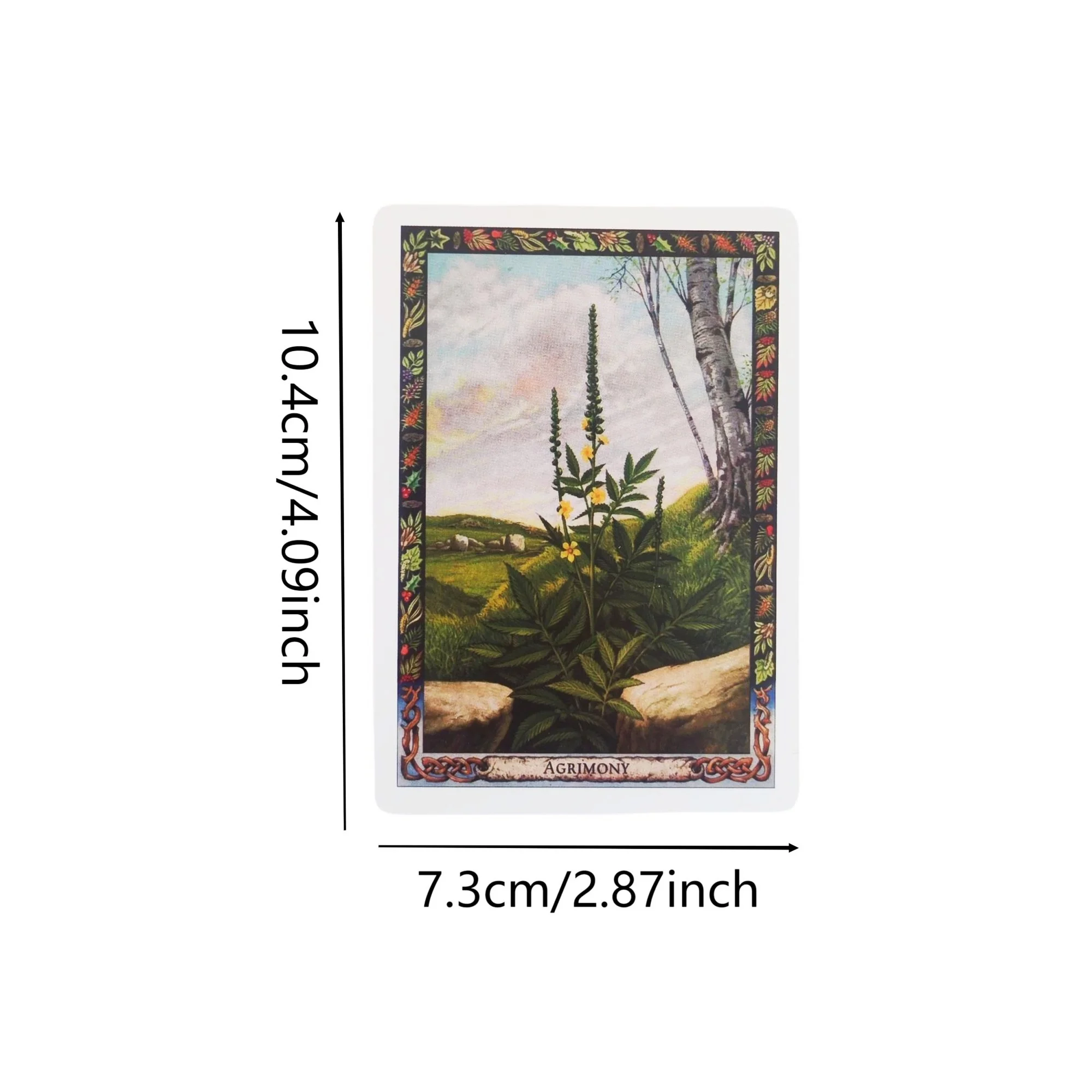 The Druid Plant Oracle 36 Cards with PDF Guide Book Divination Board Game for Exploring Magical Flora of The Druid Tradition