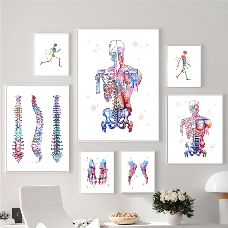 Human Anatomy Skeleton Bones Medical Office Clinic Photos Physiotherapy Posters Print Canvas Painting Wall Art for Home Decor